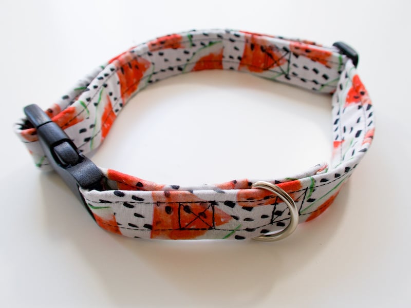 Ultimate Dog Collar Guide How to Choose the Right Dog Collar